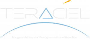 logo gris clair